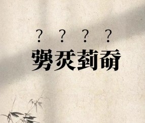 LOL官网-樔(樔字的意思是什么)