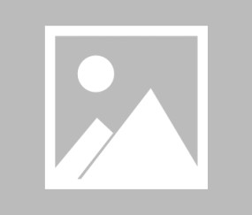 lol中国总决赛-关于今晚NBA季后赛焦点战，尼斯强势反弹，更衣室稳定，轮换策略成焦点的信息